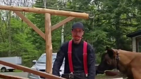 😂🐶 Dog Dance Party is Lit! | FunFM