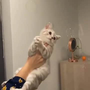 Catching soap bubbles