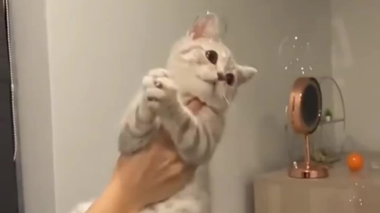 Catching soap bubbles