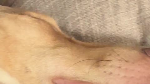 😱💤 She Sleeps Like She Pays Taxes! | FunFM