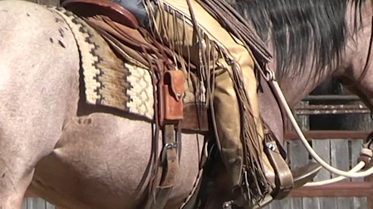 I want my horses to learn to stop off my seat.