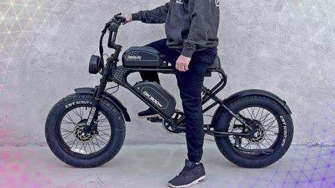DK300MAX Electric Bike 2400W Dual Brushless Motor 48V 40AH Battery Electric Bike
