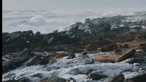 Daily Horoscope | Scorpio 🌟