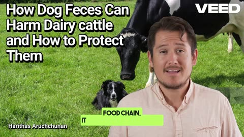Guard Your Dairy:The Dog Feces Threat