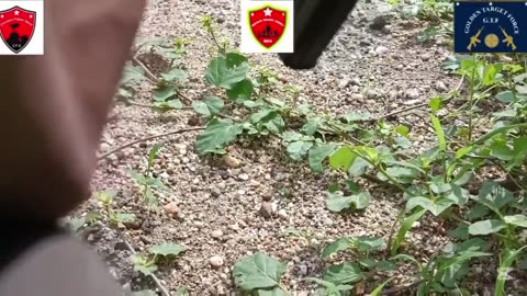⚔️🌿 Myanmar War | Guerrilla Attacks Against Junta & Militia in Sagaing & Karen | RCF