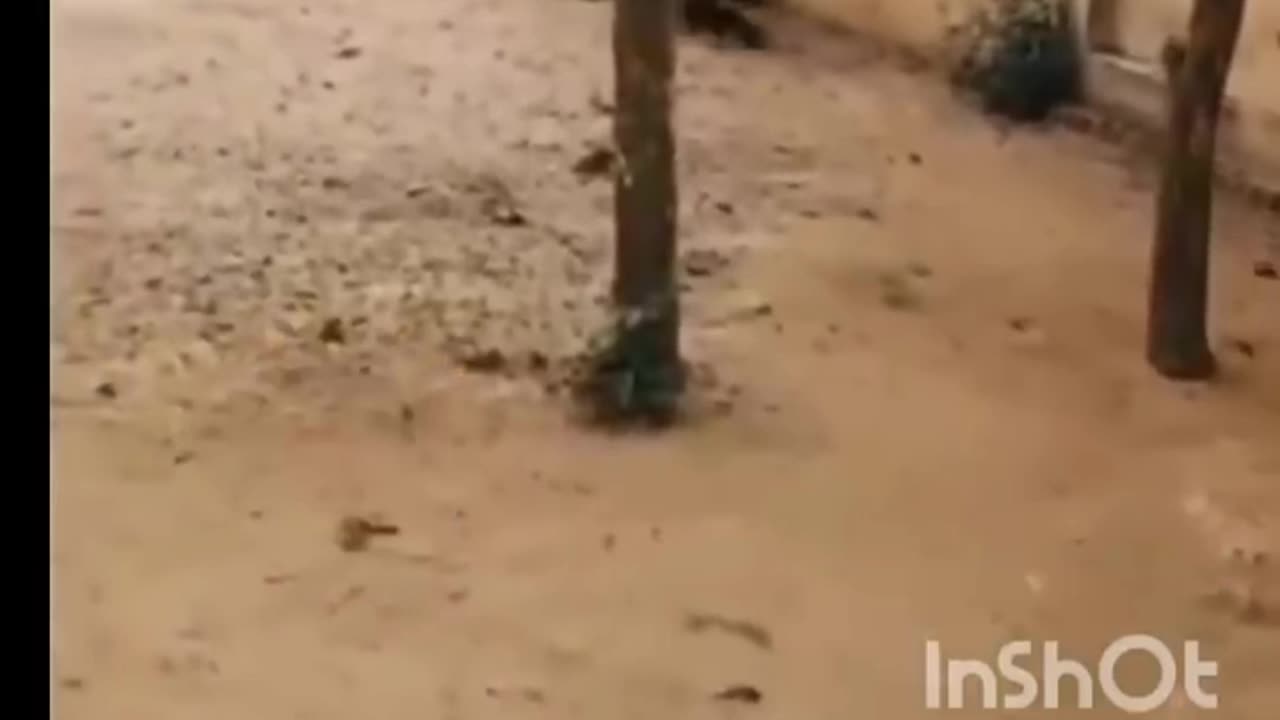 Best Funny