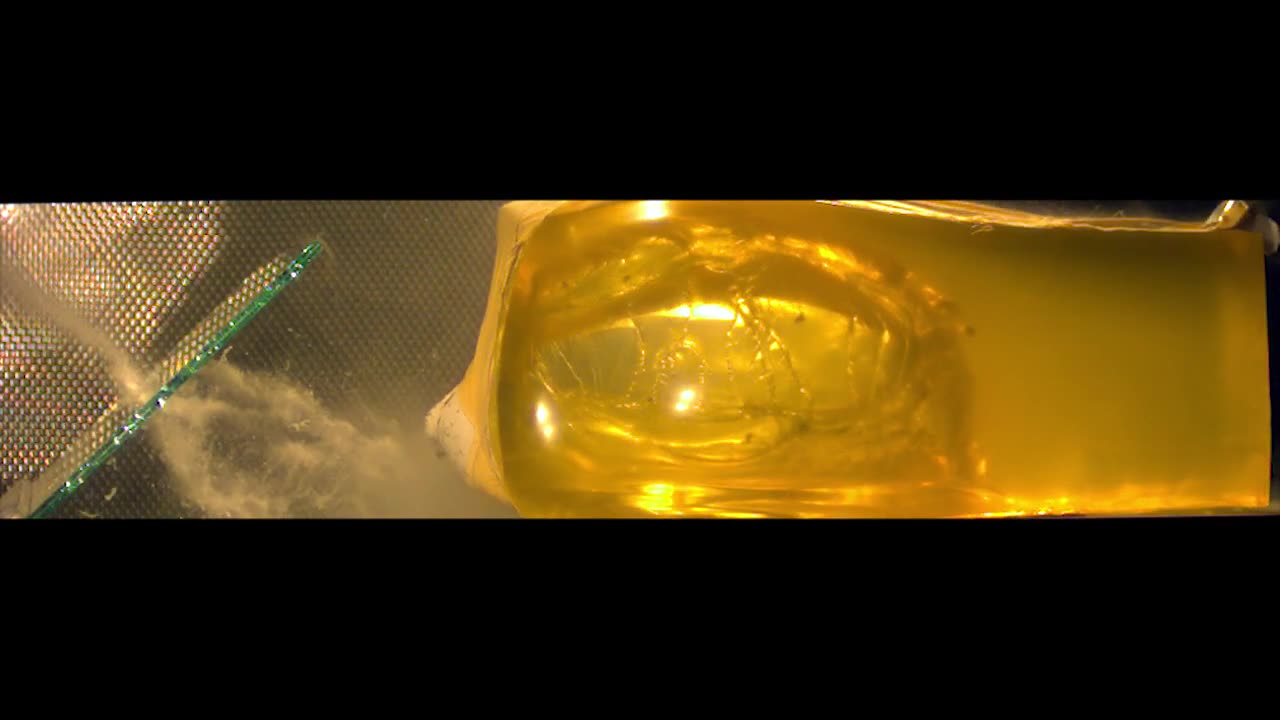 308 WIN Sierra MatchKing 168gr vs FBI Auto Glass