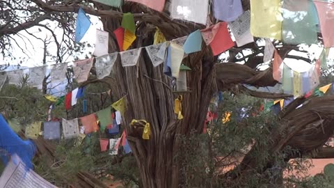 Echoes Ft. Keith Martini