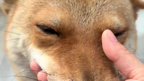 Every time I come back, it's like this.