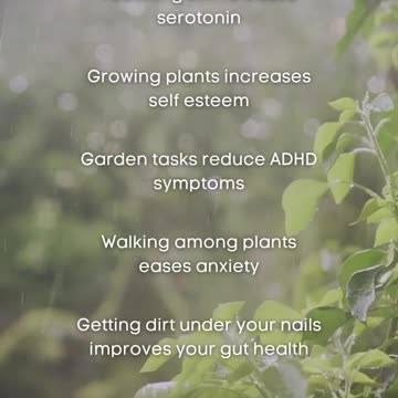 How Gardening Can Improve Your Mental and Gut Health
