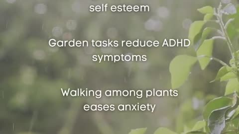How Gardening Can Improve Your Mental and Gut Health