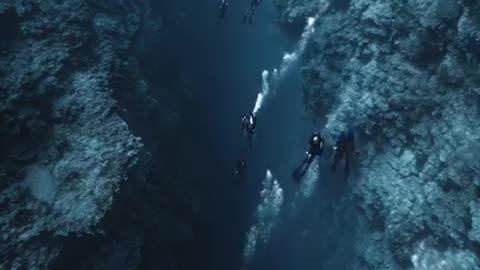 Real Life Mermaid By The Diver in Marian Trench