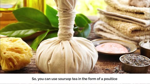 12 Powerful Health Benefits of Soursop Leaf Tea
