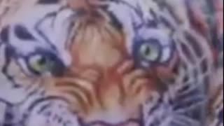 The story of how "eye of the tiger" was written