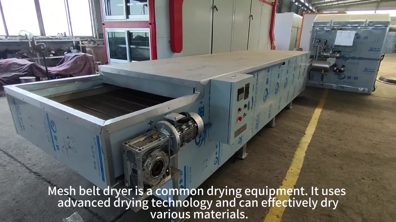 Mesh belt dryer