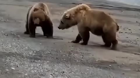 Alaska Fight Club