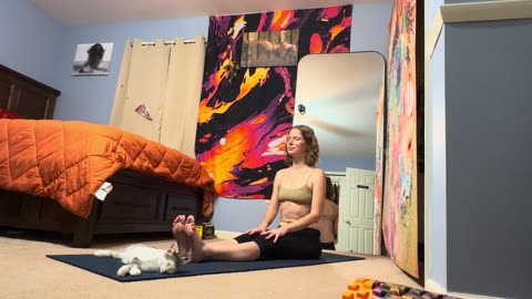 Day 435
