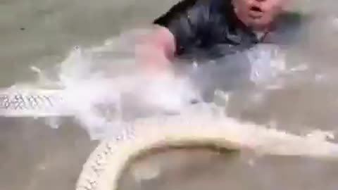 Fun Till It Isn't