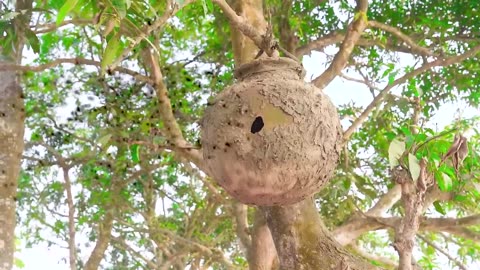Exclusive Trending Comedy Video 2025 New Amazing Funny Video 2025 Episode 309 by Busy Fun Ltd