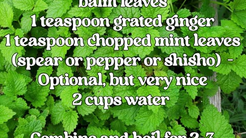 Basic Stuff- Non Toxic Bug Spray