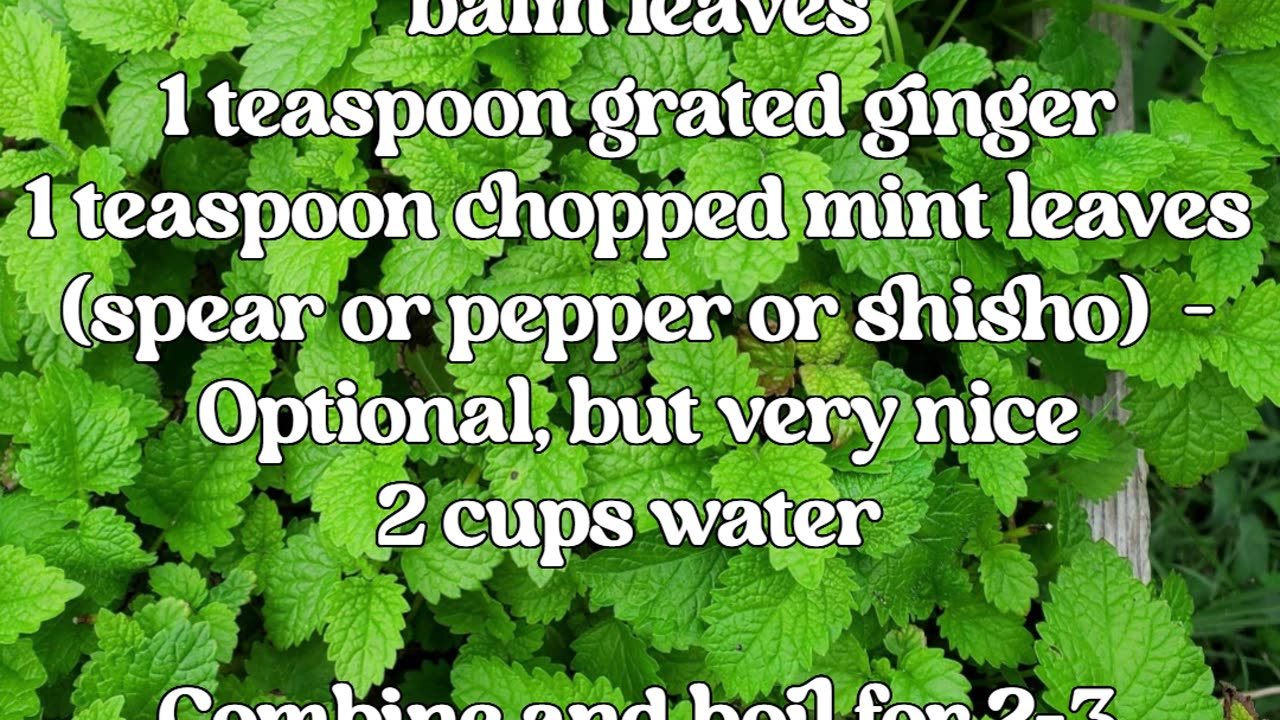 Basic Stuff- Non Toxic Bug Spray