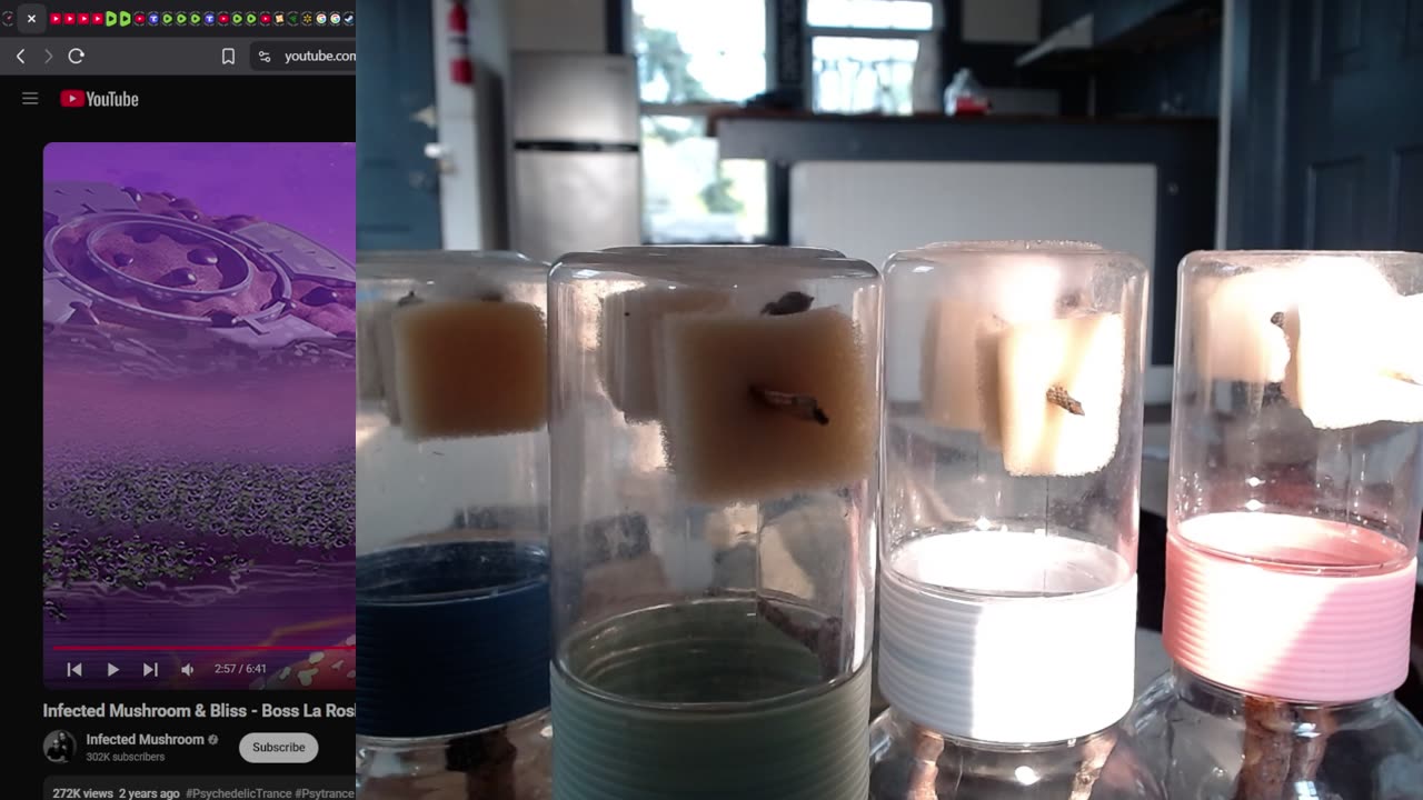 Spider Cam: Christian Cassette LIVE