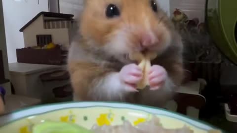 Snack time 🤤