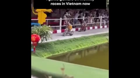 Things You Can Gamble On