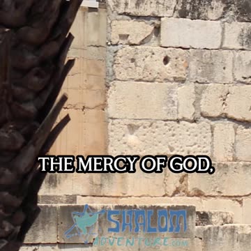 Rabbi Jeff Zaremsky on What Truly Matters in God's Eyes #Shorts #RabbiJeffZaremsky