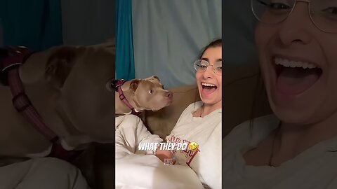 Bark at your dog and see_ funny animals compilation #funnyanimals #shorts