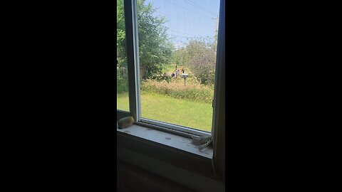 3 for 1...and I'm the Ahole