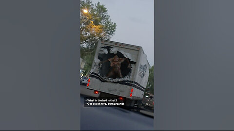 are you nerds seeing this…#StrangerThings5