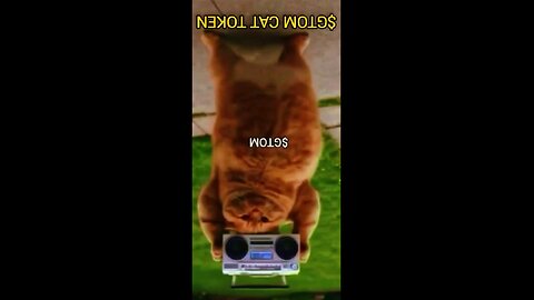 $GTOM Gat cat meme is dancing.. play the game on telegram