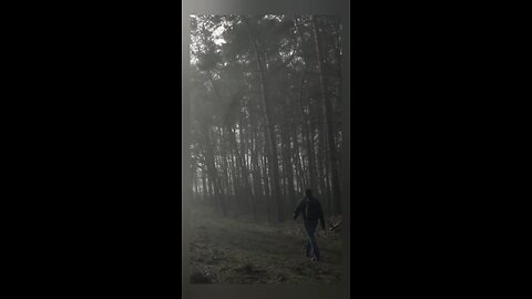 Footsteps in the Hidden Mist.