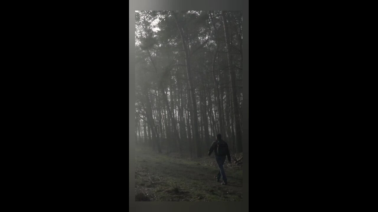 Footsteps in the Hidden Mist.