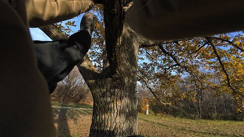 Treeclimbing, 19.11.2025 [A] Donauinsel