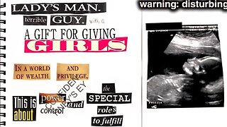 The EPSTEIN diary: the story TOO EXTREME for mainstream media