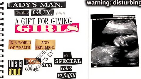 The EPSTEIN diary: the story TOO EXTREME for mainstream media