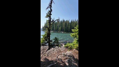 Waldo Lake Shadow Bay