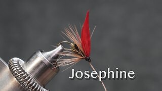 Josephine: a trout fly pattern from Favorite Flies and Their Histories (1892) by Mary Orvis Marbury