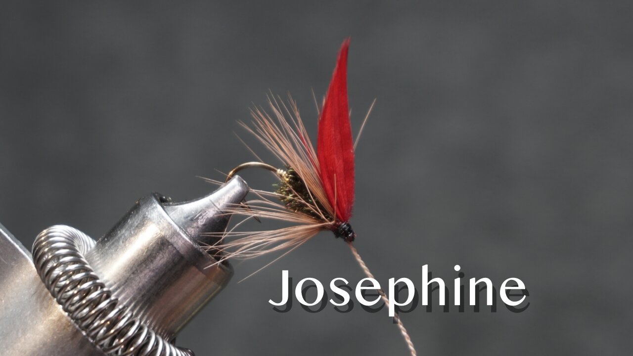 Josephine: a trout fly pattern from Favorite Flies and Their Histories (1892) by Mary Orvis Marbury