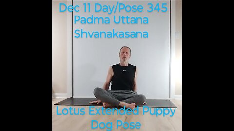 Padma Uttana Shvanakasana / Lotus Extended Puppy Dog Pose