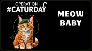 Operation #Caturday