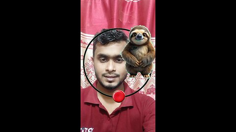 এই প্রাণীর মাথাটি জোড়া লাগান ৫৭✅ #shorts #shortvideo #viralshorts