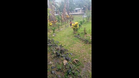 A rainy day