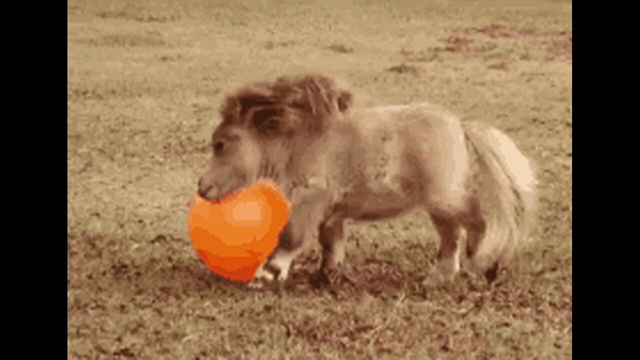 Moo Monday 9-22-25