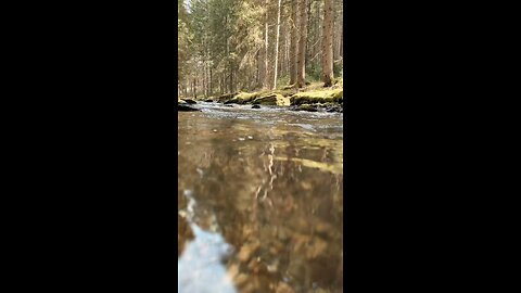 Rustic Smoked Fish Pancakes: Cooking Under the Open Sky
