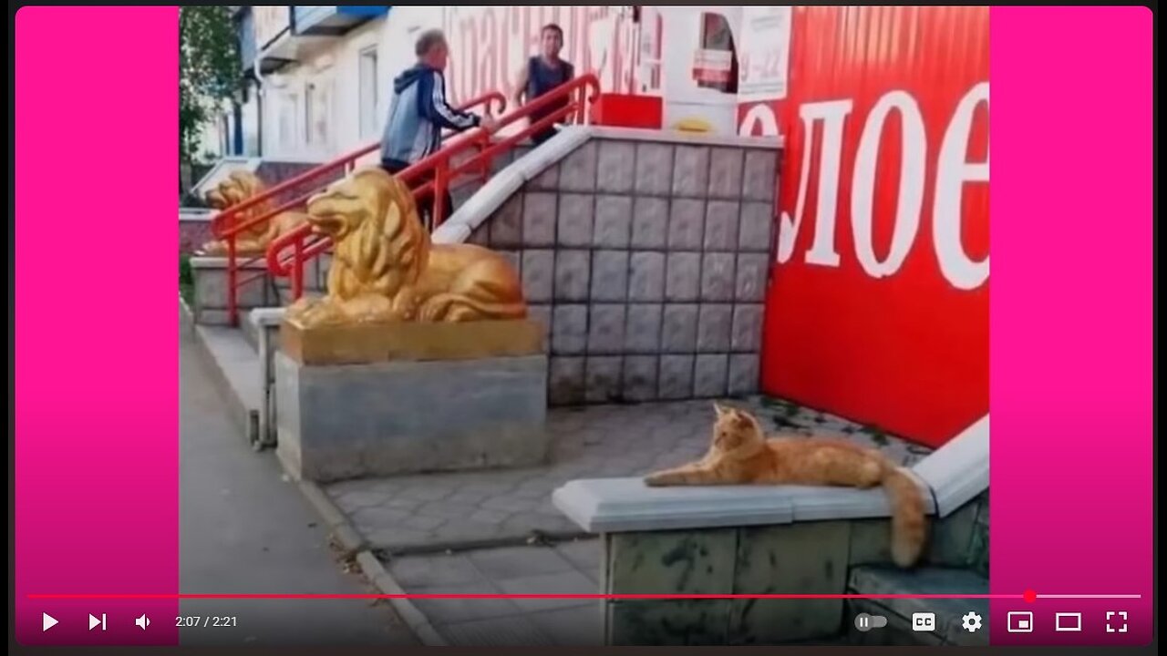 Thank You Joe for the Action and Congrats !