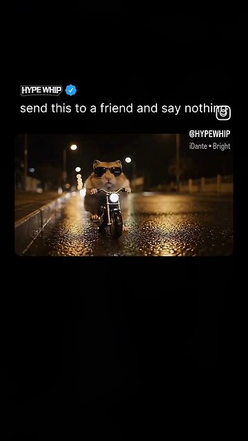 Sneaking through the shadows at night.