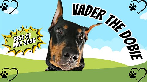 The Best of Vader the Dobie: May 2025 Edition